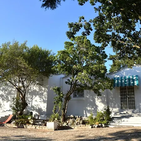Villaggio La Collina Del Relax Ferienhaus *