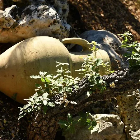 Σπίτι διακοπών Villaggio La Collina Del Relax *